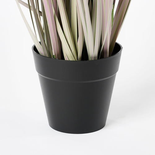 Mica Decorations Dogtail Gras Kunstplant - H53 x Ø30 cm - Paars