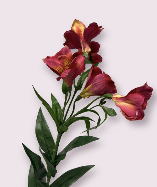 My Flowers.shop Fuchsiakleurige alstroemeria zijden bloem | Lengte 75 centimeter | Per stuk - vtwonen shop