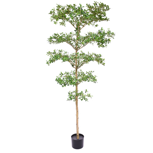 Maxifleur Bucida Buceras Kunstboom 240cm NT groen