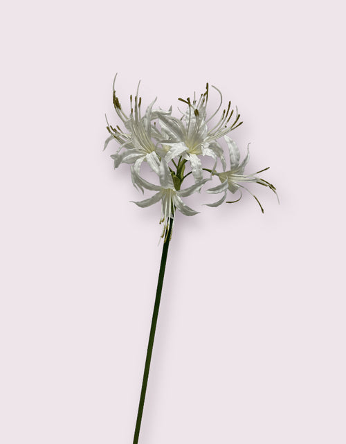 My Flowers.shop Witte nerine zijden blad | Lengte 67 centimeter | Per stuk - vtwonen shop