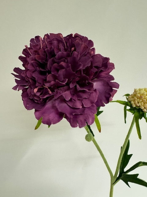 My Flowers.shop Paarse scabiosa zijden bloem | Lengte 59 centimeter | Per stuk - vtwonen shop