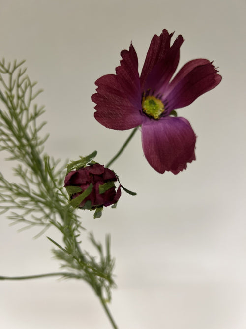 My Flowers.shop Fuchsiakleurige cosmea zijden bloem | Lengte  90 centimeter | Per stuk - vtwonen shop