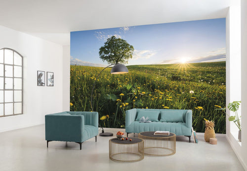 Sanders & Sanders fotobehang natuurmotief groen en blauw - 450 x 280 cm - 612626