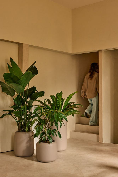 Elho Amber Beads Small Beige - Ø39cm - vtwonen shop