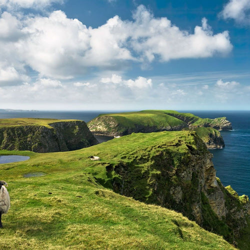 Sanders & Sanders fotobehang landschap van Ierland groen en blauw - 450 x 280 cm - 612629