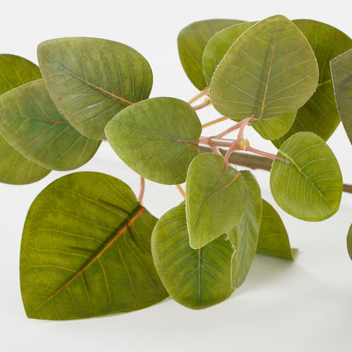 Mica Decorations Eucalyptus Kunstplant - L12 x B28 x H64 cm - Groen