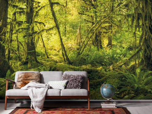 Sanders & Sanders fotobehang bos groen - 400 x 250 cm - 612484