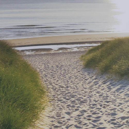 Art for the Home Buitencanvas - Strandwandeling bij Zonsopgang - 50x70cm