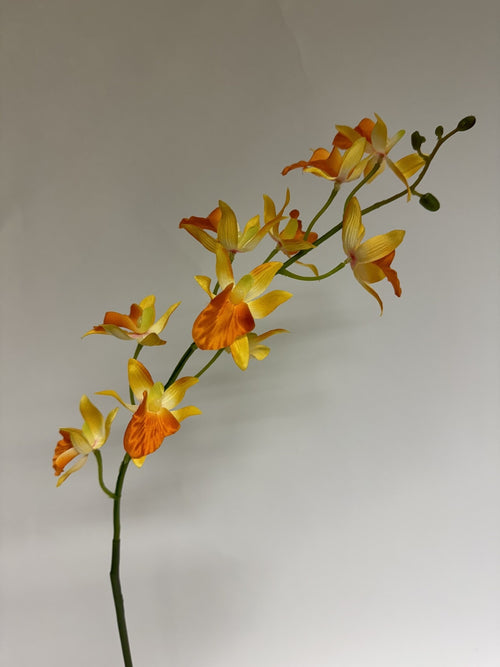 My Flowers.shop Oranje orchidee zijden bloem | Lengte  78 centimeter | Per stuk - vtwonen shop