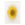 Ecorugs vloerkleed Gold Moss - goud - 200x280cm