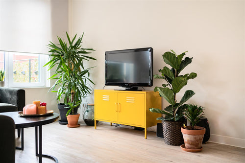 MaximaVida metalen TV lockerkast Finn 100 x 40 x 64 cm okergeel - 1 schap - vtwonen shop