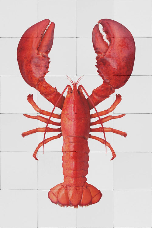 ESTAhome muursticker kreeft rood - 145 x 97 cm - 159032