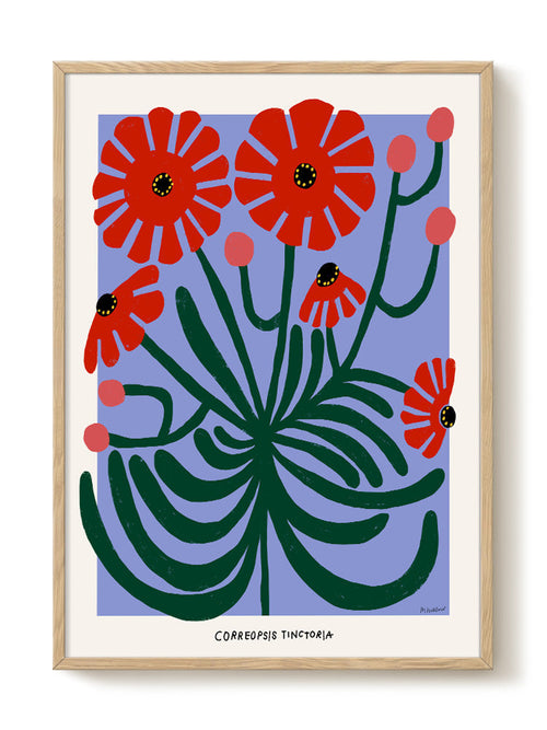 Madelen - Red Correopsis Tinctoria - PSTR studio Kunst Poster - vtwonen shop