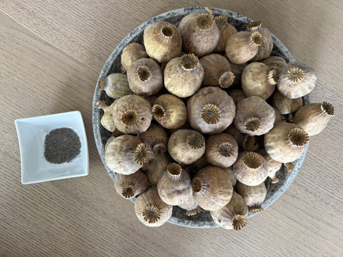 Gedroogde papaver koppen | Maat XL | Oogst 2025 | Per kilo te bestellen - vtwonen shop