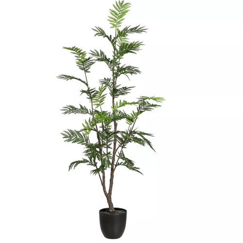 Flourify - kunstplant - Mimosa - 130 cm - vtwonen shop