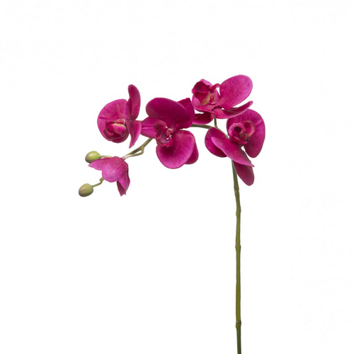 Sia Deco Kunstmatige Phalaenopsis Orchidee Stengel - Fuchsia - H47 - vtwonen shop