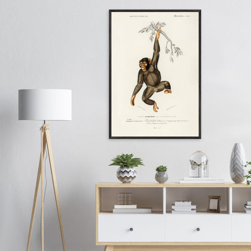 Artfulprints Poster Charles Dessalines d'Orbigny - Chimpangze (troglodyte chimpanze)   - A4 21x29.7 cm - Bruin