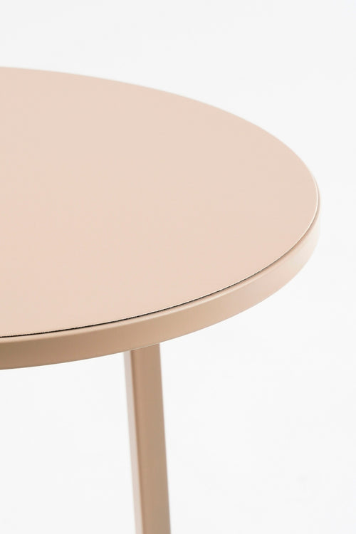 Mica Decorations Adine Plantentafel - H80 x Ø30 cm - Metaal - Lichtroze