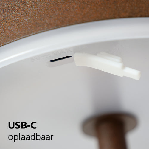 EGLO staande lamp  Mannera-L - Roestbruin - vtwonen shop