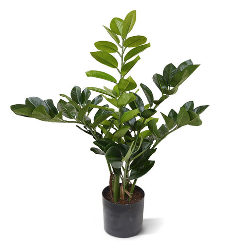 Maxifleur Zamioculcas kunstplant 55cm
