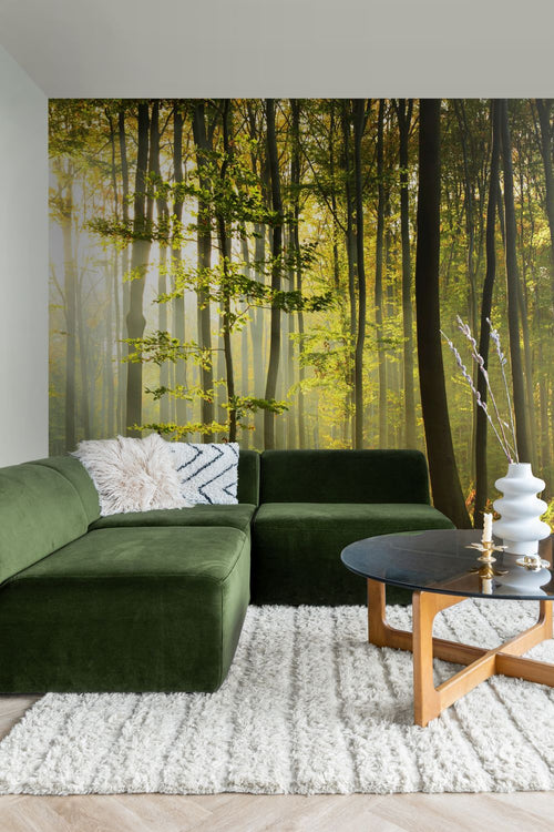 Sanders & Sanders fotobehang bosrijk landschap groen - 300 x 279 cm - 950032