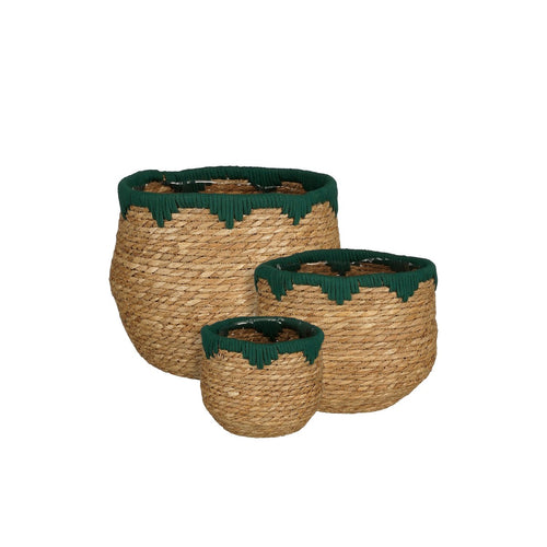 Mica Decorations Jorck Plantenmand - Set van 3 - H24 x Ø26 cm - Zeegras - Groen, Bruin