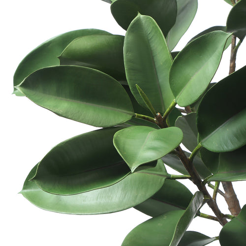 Sia Deco - Ficus in pot 165cm - Groen - Polyester - H165 - vtwonen shop