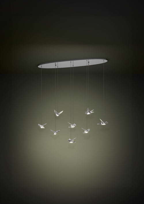 Stars of Light hanglamp Paratebueno 1
