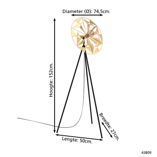 EGLO vloerlamp Castanuelo - e27 - 152 cm - zwart/goud - vtwonen shop