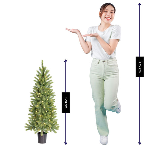 Black Box Trees Nagoya Kunstkerstboom met Verlichting H120 x Ø60 cm - Kerstboom Voor Binnen - Kunstboom met 212 PE Dennentakjes - Slank Model Ø60 cm -