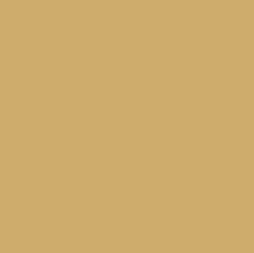 Graham & Brown Ambition - Matte Muurverf - 2,5L