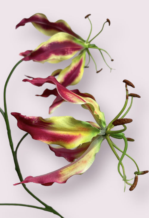 My Flowers.shop Fuchsiakleurige gloriosa zijden bloem | Lengte 80 centimeter | Per stuk - vtwonen shop