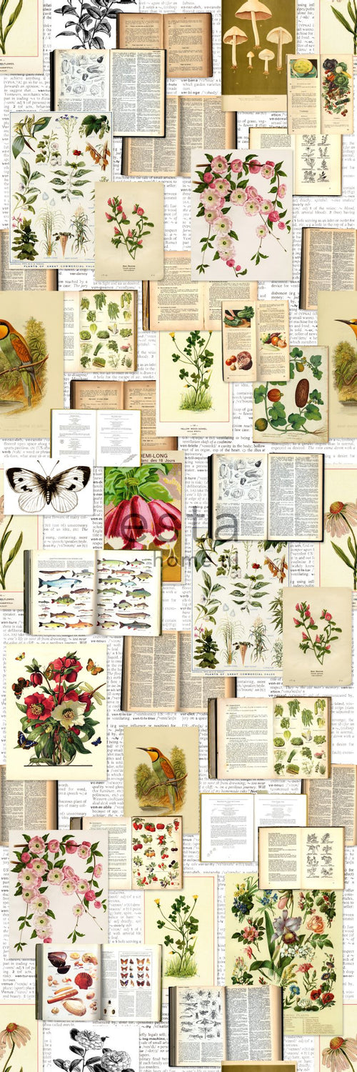 ESTAhome fotobehang botanische prenten beige, groen en roze - 100 x 279 cm - 158508