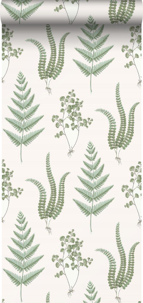 Borastapeter behang bladeren groen - 53 cm x 10.05 m - 660367 - vtwonen shop