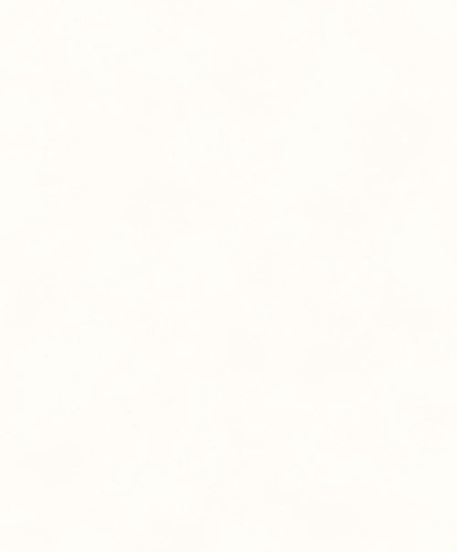 Masureel behang effen wit - 106 cm x 10.05 m - 630046 - vtwonen shop