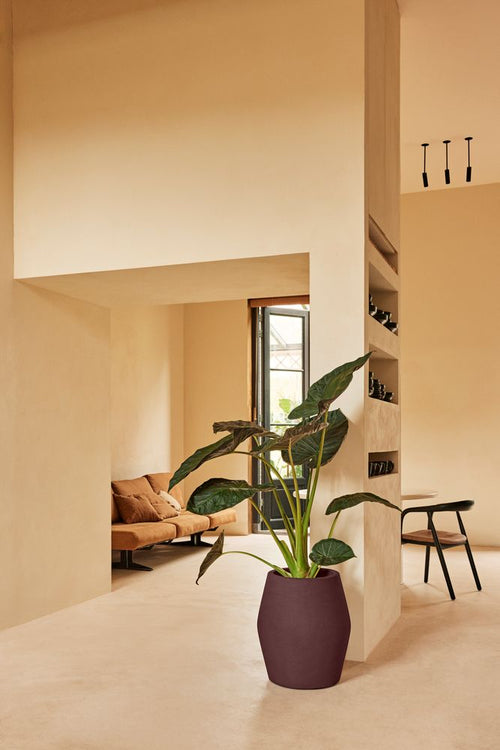 Elho June Split High Paars - Ø46cm - vtwonen shop