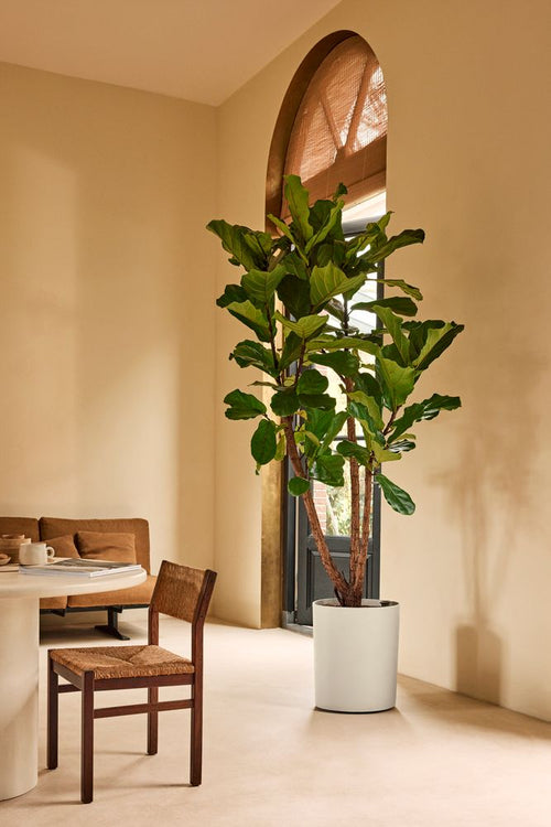 Elho Eden Aquacare High Wit - vtwonen shop