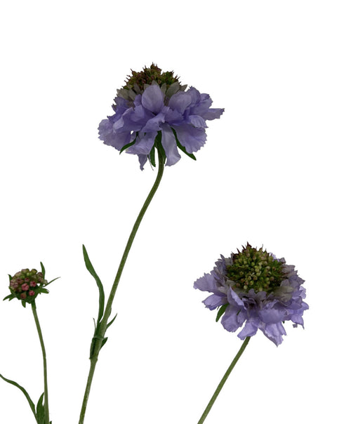 My Flowers.shop Lilakleurige scabiosa zijden bloem | Lengte 65 centimeter | Per stuk - vtwonen shop