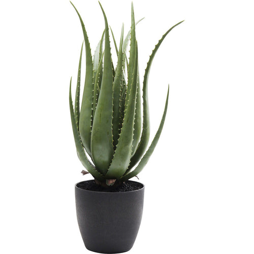 Kare Design Kunstplanten - aloe - 69cm - vtwonen shop