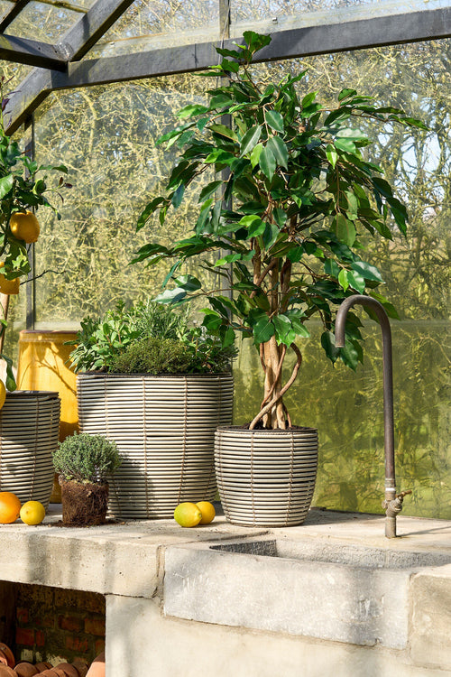 Mica Decorations Ficus Kunstplant - H110 x Ø65 cm - Groen