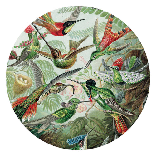 Reinders glasschilderij Hummingbirds - Ø 70cm