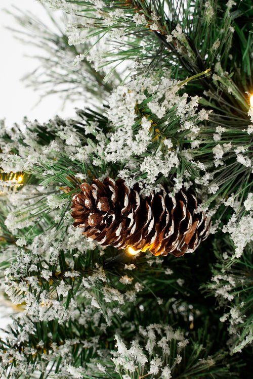 Black Box Trees Vandans kerstboom potted led groen frosted 40L TIPS 96 battery operated - h90xd48cm