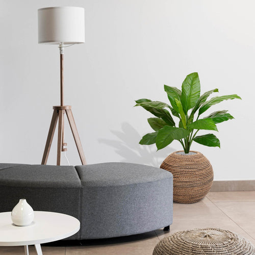 Maxifleur Spathiphyllum King kunstplant 80cm - groen