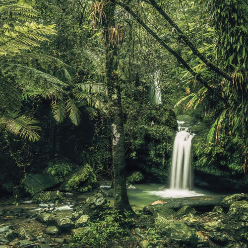 Sanders & Sanders fotobehang waterval groen - 400 x 250 cm - 612533