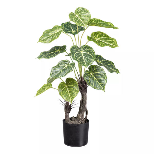 Flourify kunstplant - Syngonium - 70 cm