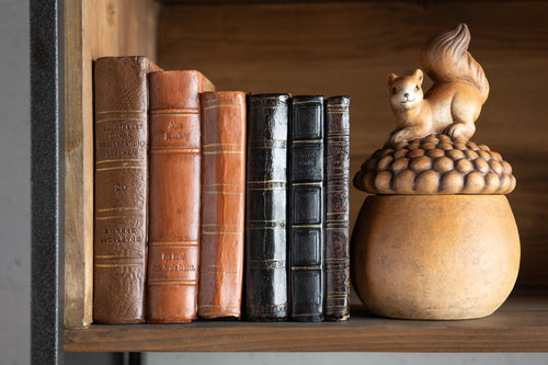 J-Line decoratie Boeken - polyresin - bruin - large