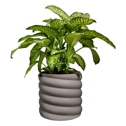elho swirl 47 burnt umber | Bloempot | Dynamisch premium design