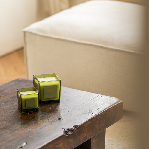 S|P Collection - Geurkaars 460g Forest Gallery