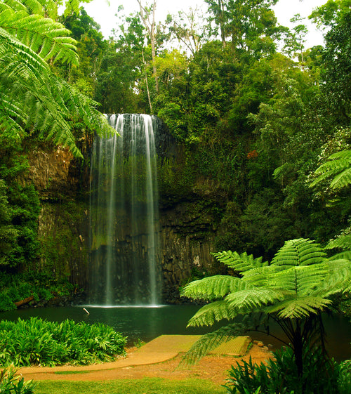 Sanders & Sanders fotobehang waterval groen - 180 x 202 cm - 600632