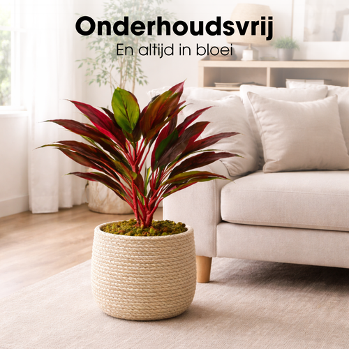 Mica Decorations Cordyline – Kunstplant in Pot – Realistische Nepplant Woondecoratie – Kunstplanten voor Binnen en Buiten – H90 x Ø70 cm – Rood